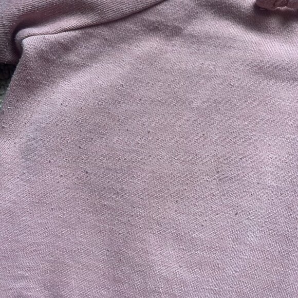 Champion Women’s Pink Hoodie Sweatshirt Large - Picture 4 of 5